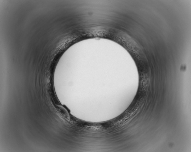 X0000097900548200804111047