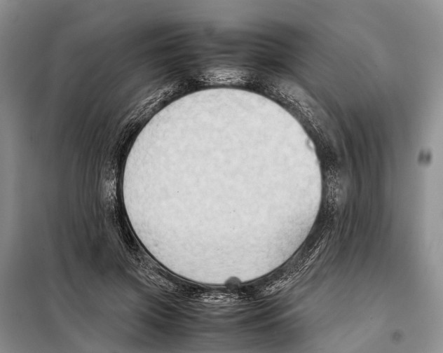 X0000097900549200804111047