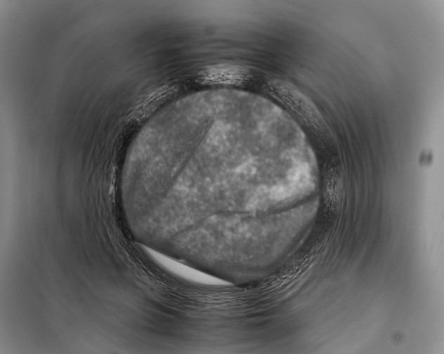 X0000097900551200804111047