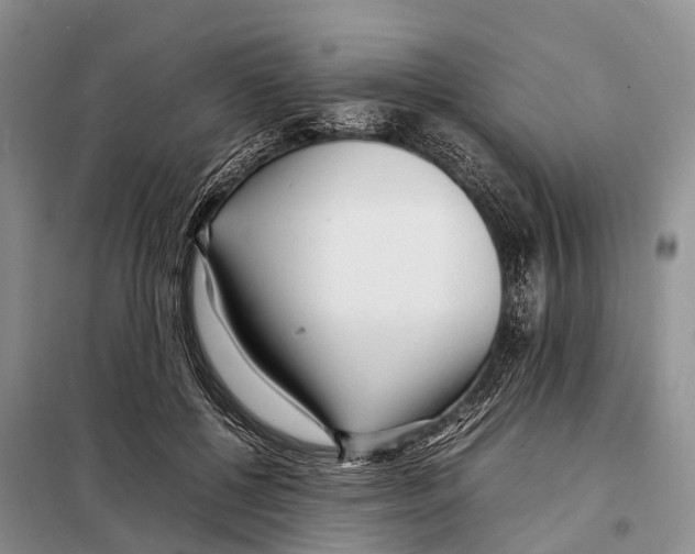 X0000097900552200804111047