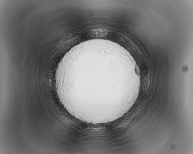 X0000097900553200804111047