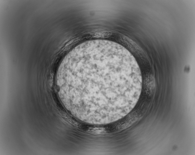 X0000097900554200804111047