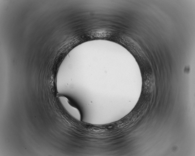 X0000097900555200804111047