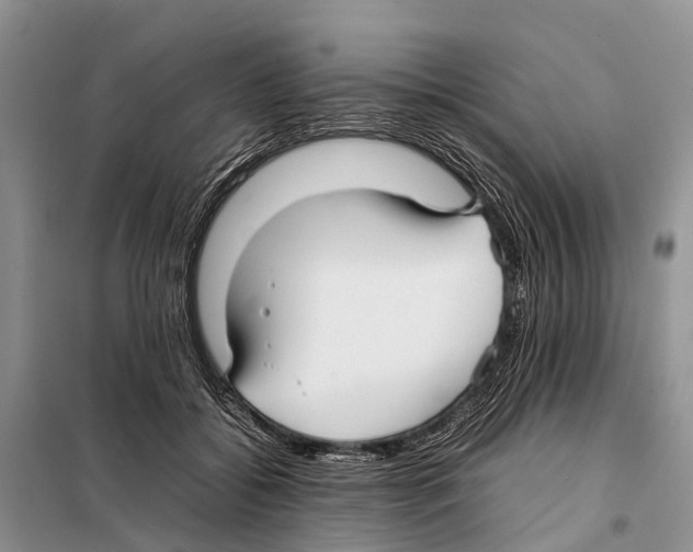 X0000097900556200804111047