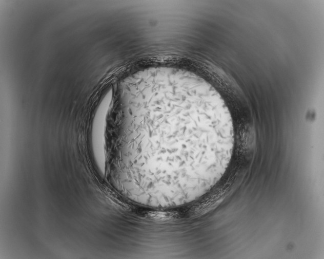 X0000097900558200804111047