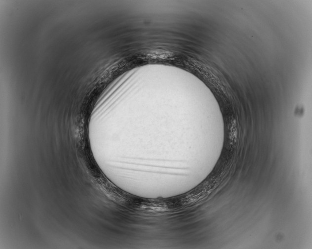 X0000097900559200804111047