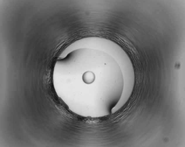 X0000097900560200804111047