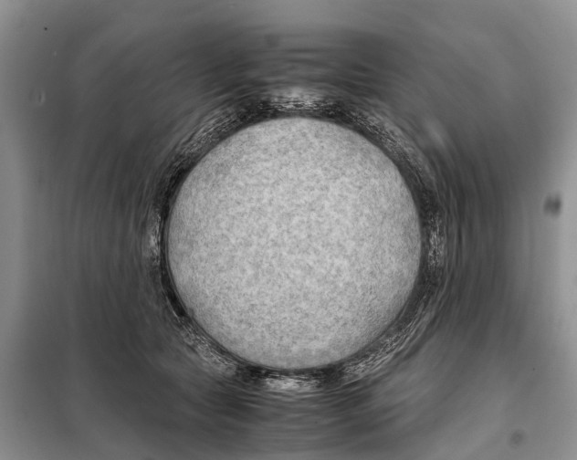 X0000097900561200804111047