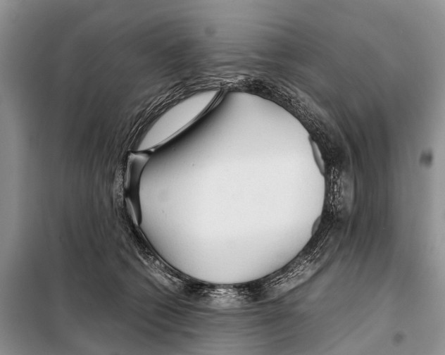 X0000097900562200804111047