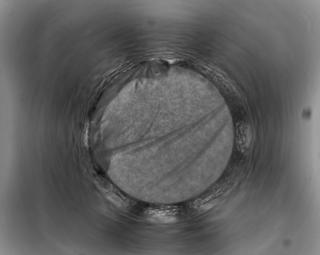 X0000097900563200804111047