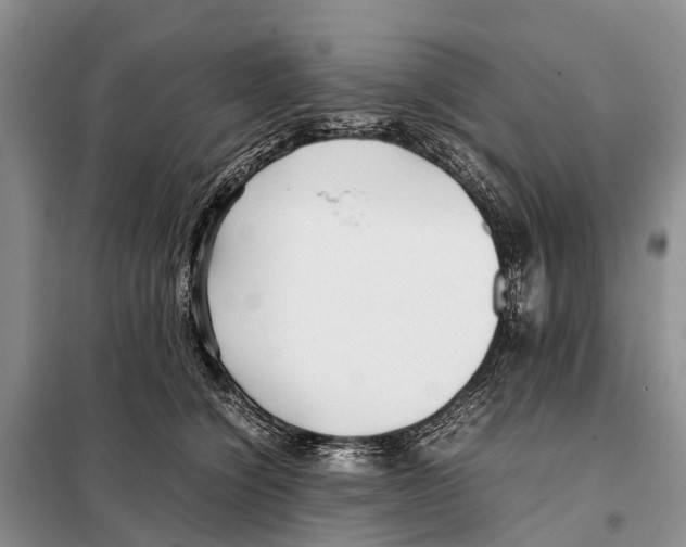 X0000097900564200804111047