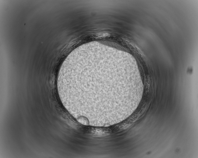 X0000097900565200804111047