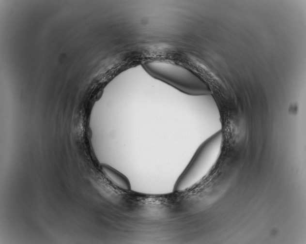 X0000097900566200804111047