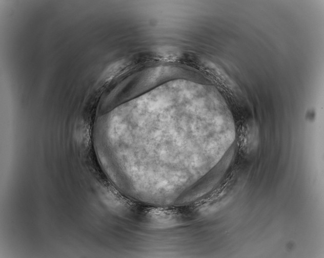 X0000097900568200804111047