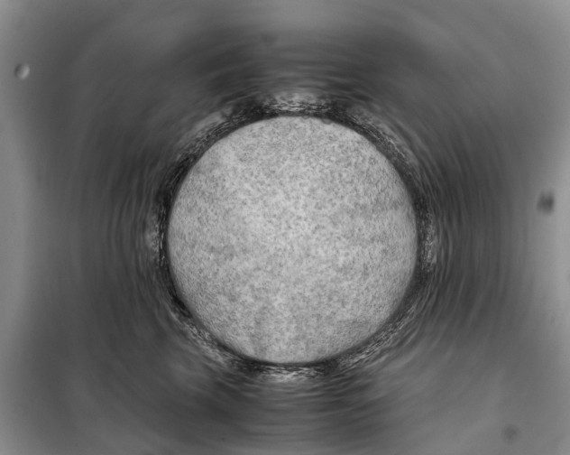 X0000097900569200804111047