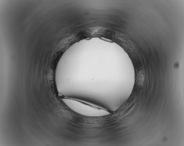 X0000097900571200804111048