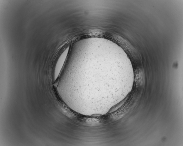 X0000097900572200804111048