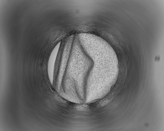 X0000097900576200804111048