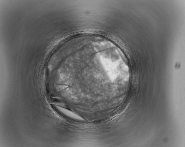 X0000097900577200804111047