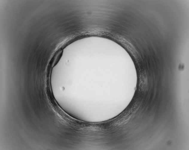 X0000097900578200804111047