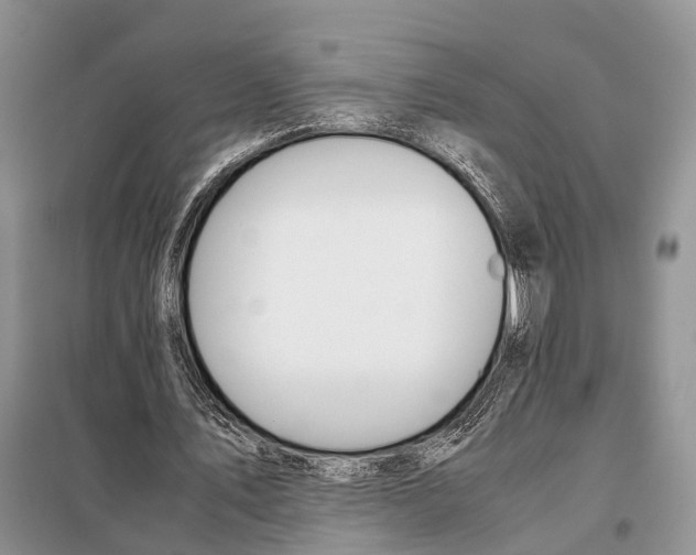 X0000097900579200804111047