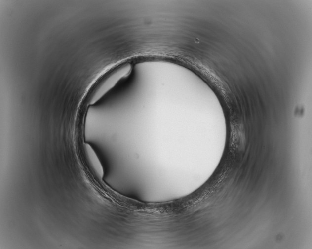 X0000097900580200804111047