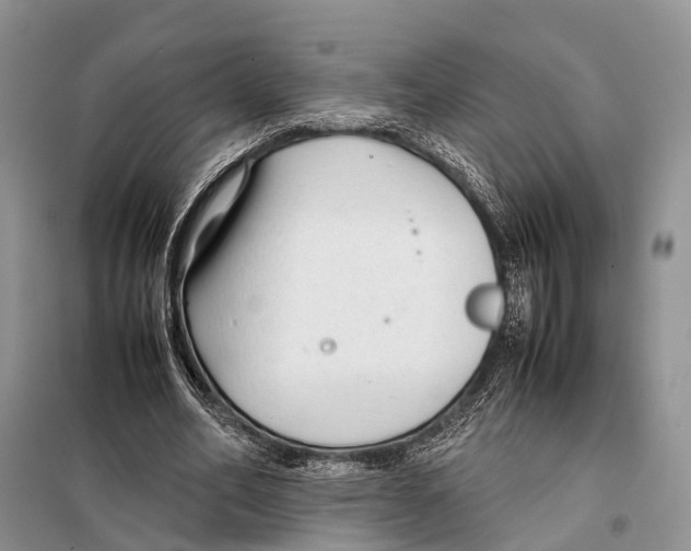 X0000097900582200804111047