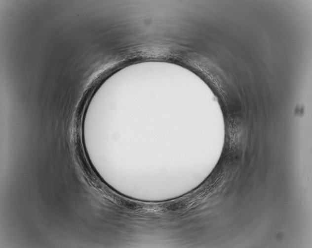 X0000097900583200804111047