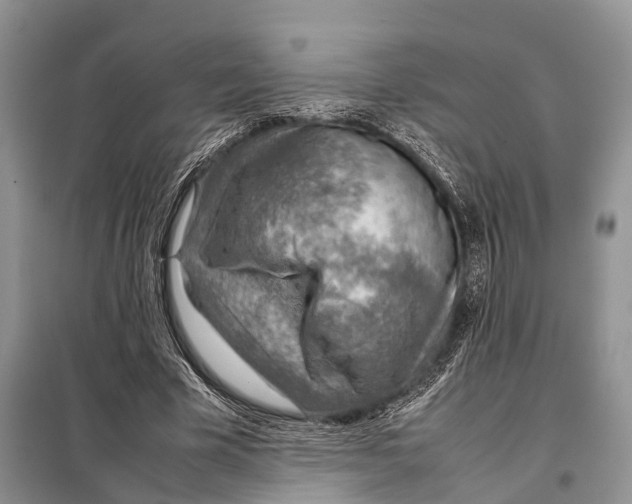 X0000097900585200804111047