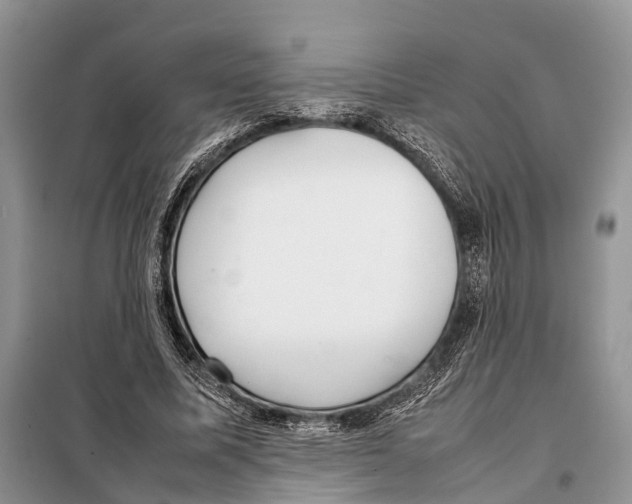 X0000097900587200804111047