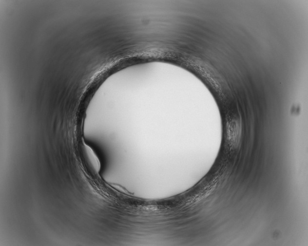 X0000097900588200804111047