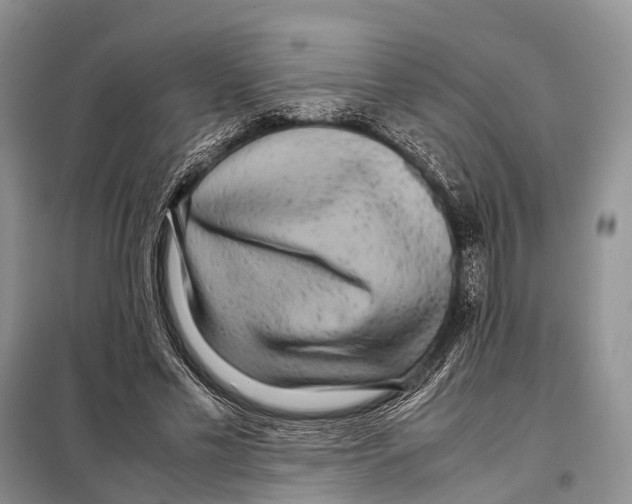 X0000097900589200804111047