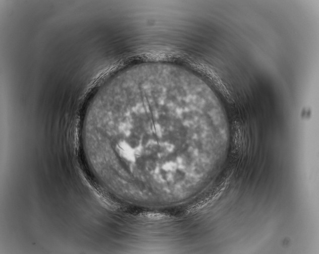 X0000097900590200804111047