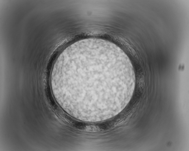 X0000097900591200804111047