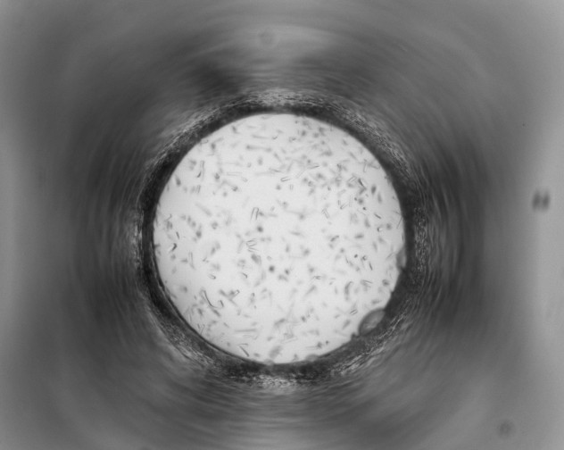 X0000097900592200804111047