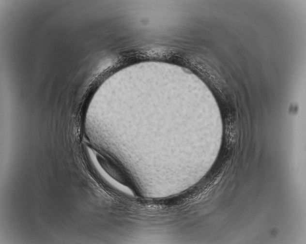 X0000097900593200804111047