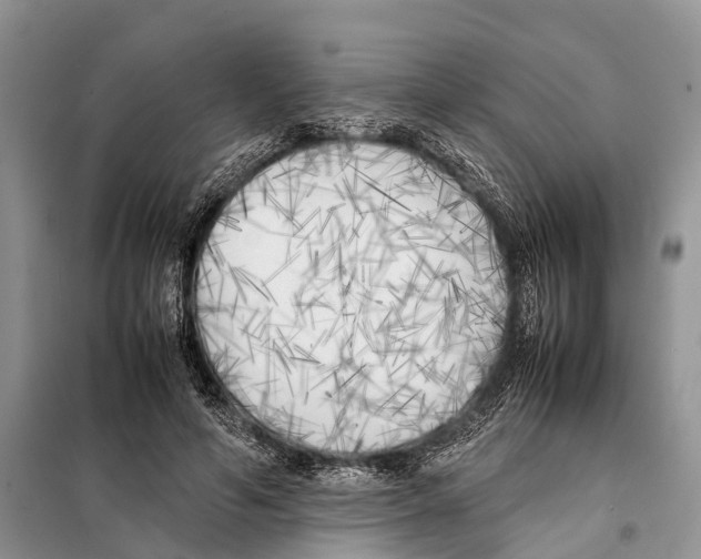 X0000097900594200804111047