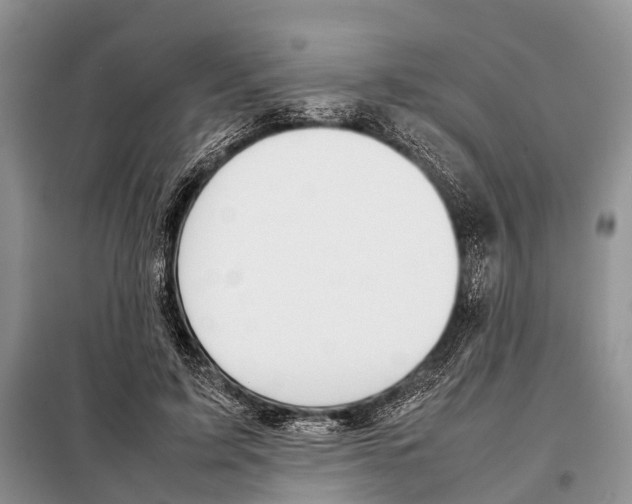 X0000097900595200804111047