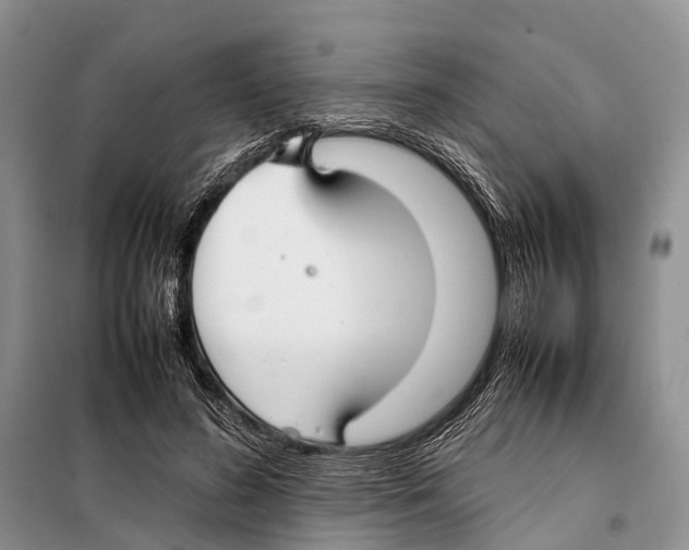 X0000097900596200804111046