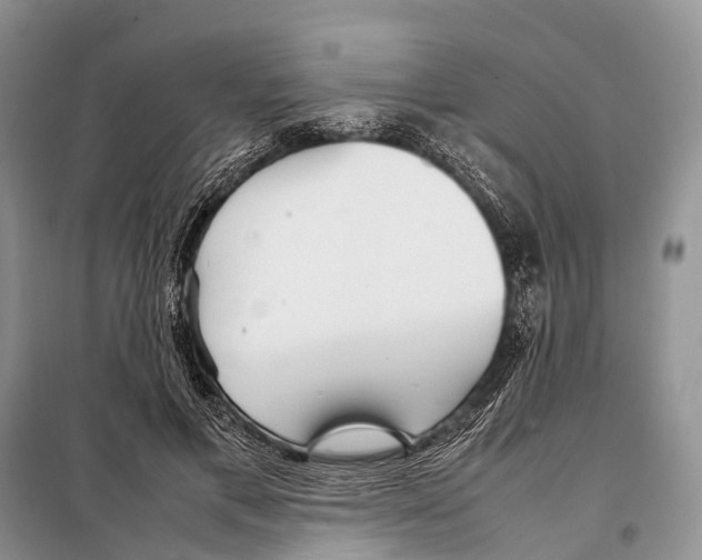 X0000097900597200804111046