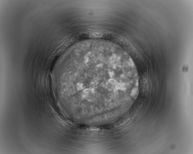 X0000097900598200804111046