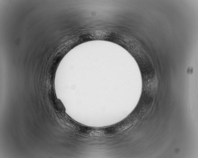 X0000097900599200804111046