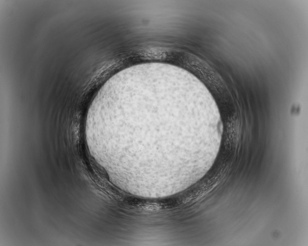 X0000097900600200804111046