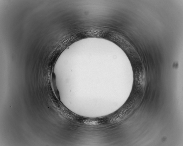 X0000097900602200804111046