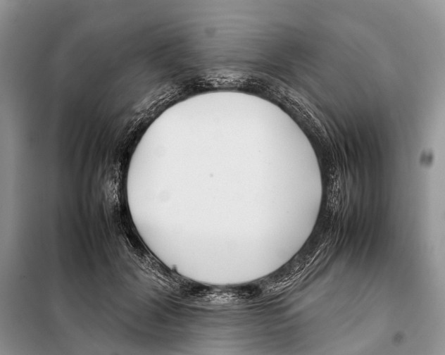 X0000097900604200804111046