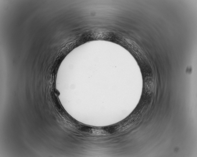 X0000097900605200804111046