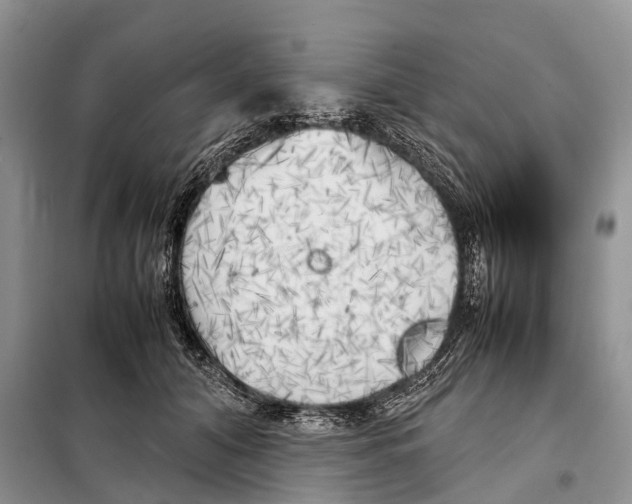 X0000097900608200804111046