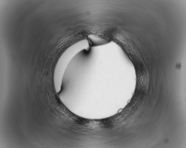 X0000097900609200804111046