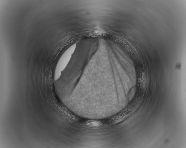 X0000097900610200804111046