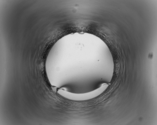 X0000097900613200804111046